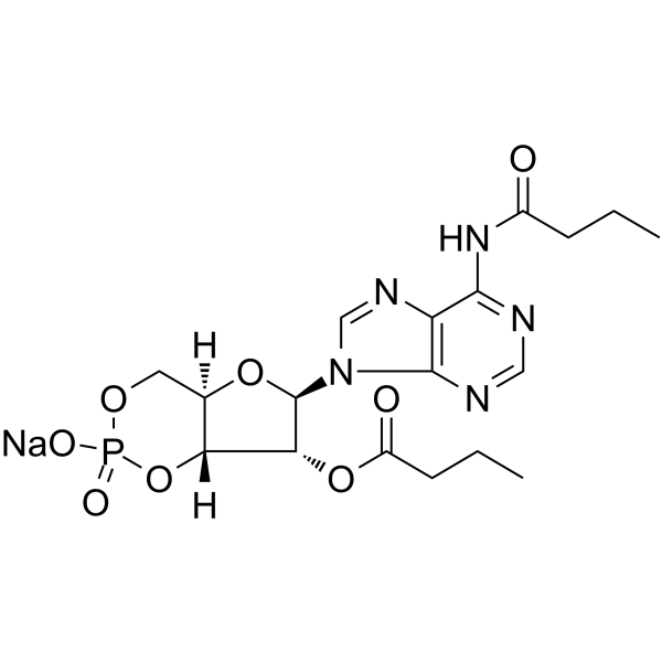 Bucladesine sodium Chemical Structure