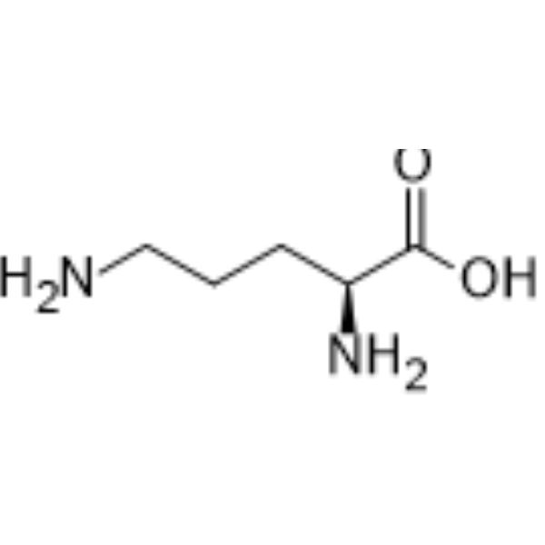 L-Ornithine Chemical Structure