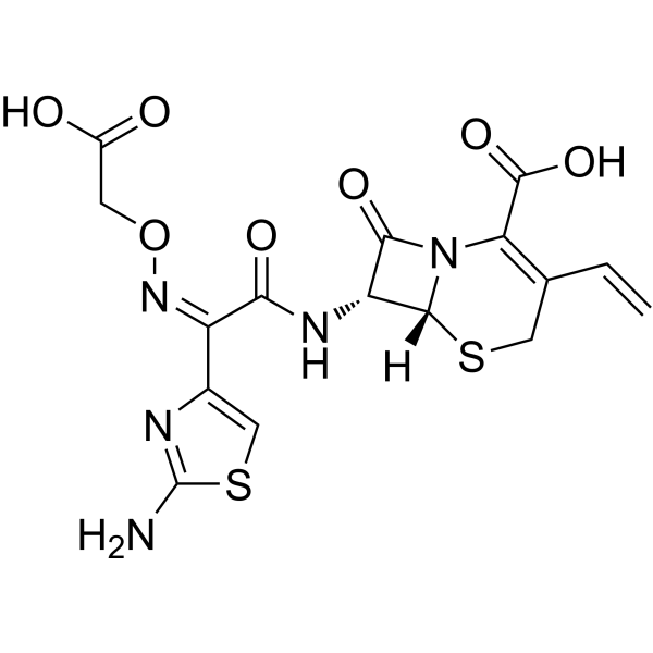 Cefixime Chemical Structure