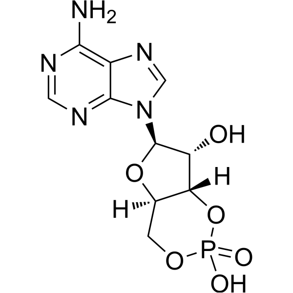 Cyclic AMP Chemical Structure