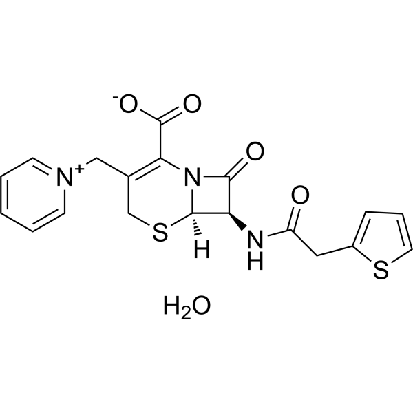 Cephaloridine hydrate
