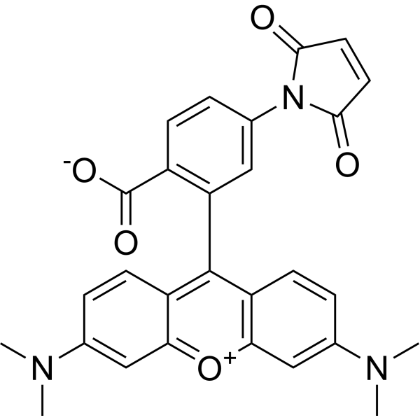 <em>Tetramethylrhodamine-5</em>-<em>maleimide</em>