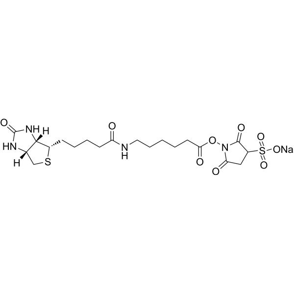 Sulfo-NHS-LC-Biotin sodium Chemical Structure