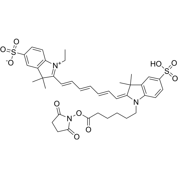 CY7-SE Chemical Structure