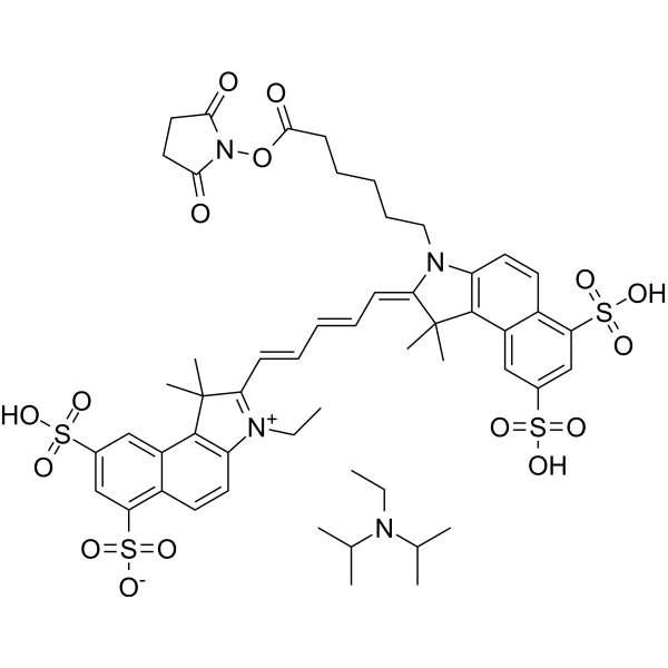 Cy5.5-SE (DIPEA) Chemical Structure