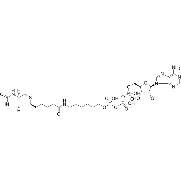 γ-(6-Aminohexyl)-ATP-biotin Chemical Structure