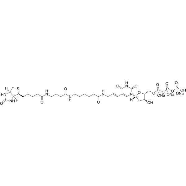 Biotin-16-dUTP trisodium