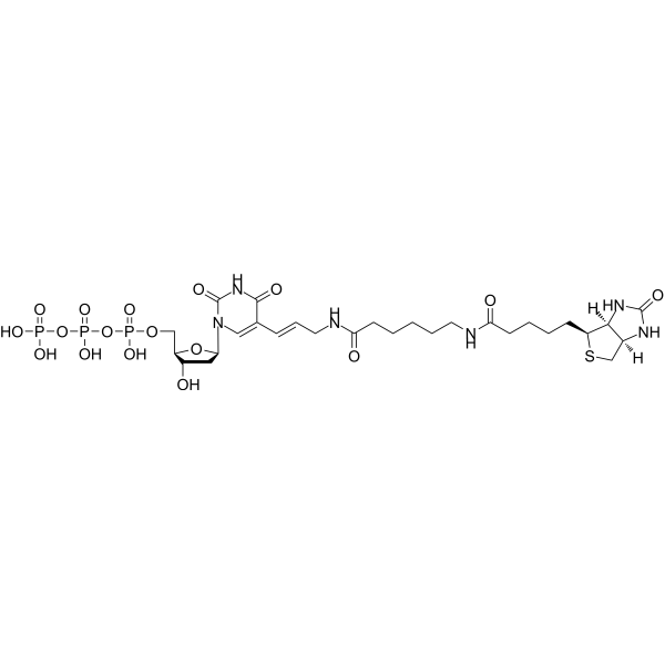 Biotin-11-dUTP