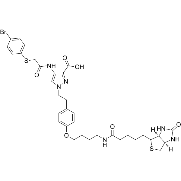 Biotin-tagged KR-33493 構造式