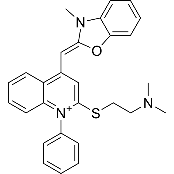 SYBR Green II (Ionic form)