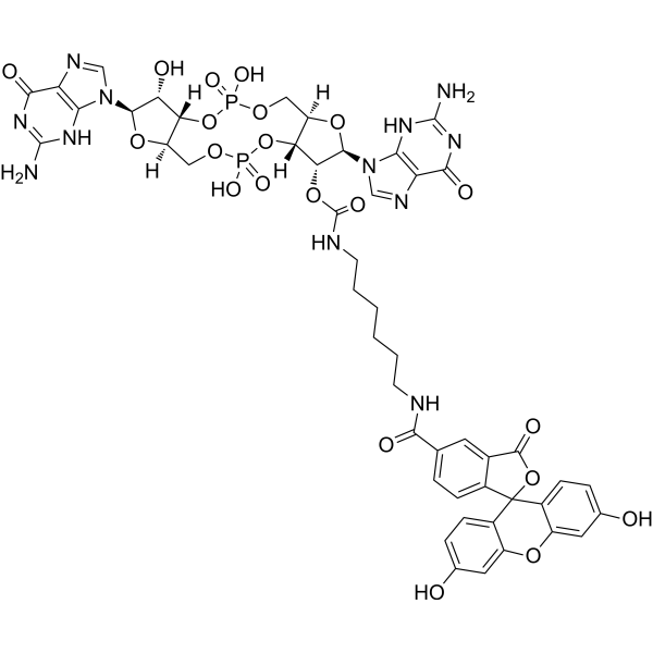 2'-Fluo-AHC-c-di-GMP 構造式