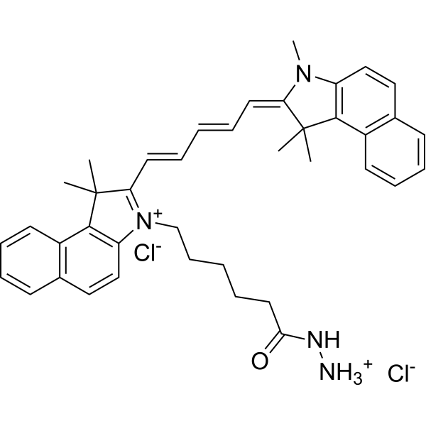 Cyanine5.5 hydrazide dichloride Chemical Structure