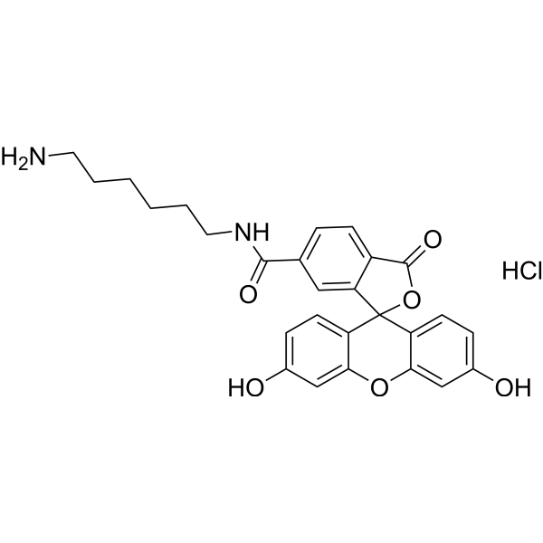 FAM amine, 6-isomer Chemical Structure