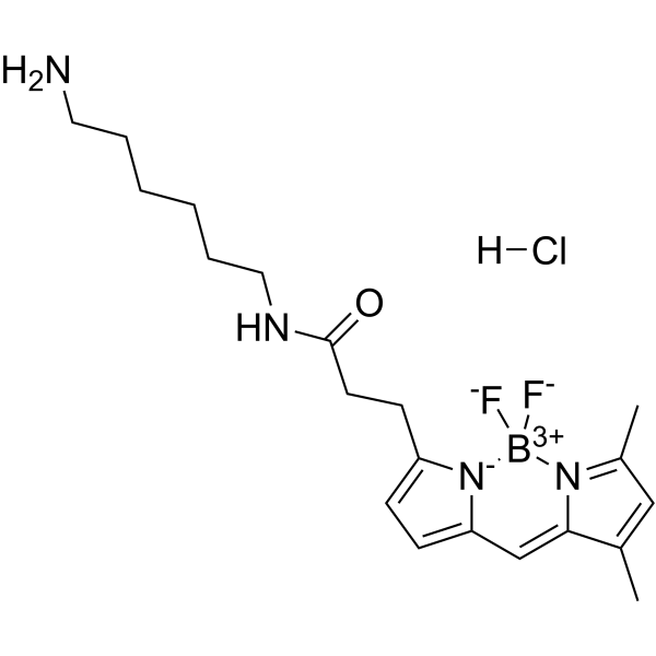 BDP FL amine hydrochloride Chemical Structure