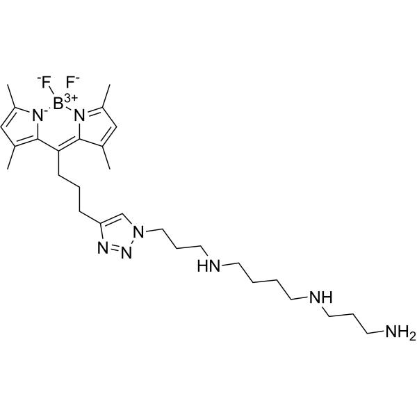 Fluorescent polyamine probe-1 Chemical Structure