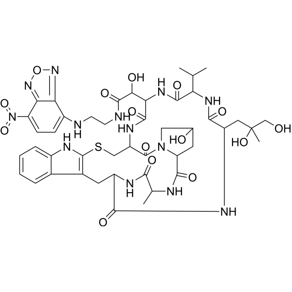 N-(7-Nitrobenzofurazan-4-yl)phallacidin Chemical Structure