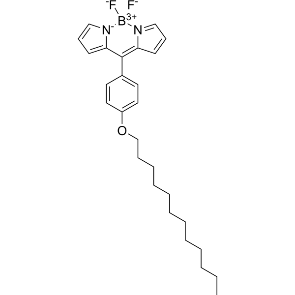 BODIPY-C12 Chemical Structure