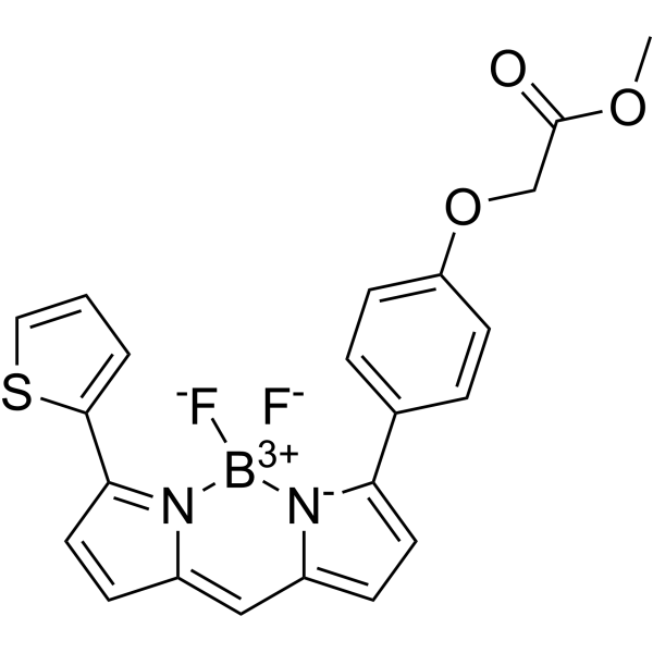 BODIPY TR methyl ester Chemical Structure