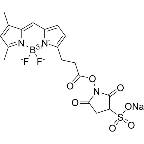 BODIPY FL SSE Chemical Structure