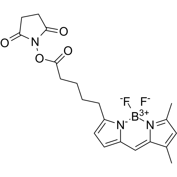 BODIPY FL-C5 NHS Ester Chemical Structure