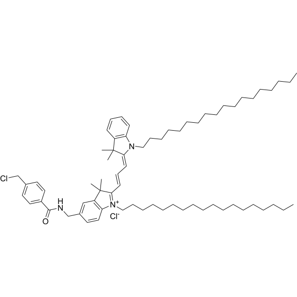 CellTracker CM-DiI Chemical Structure