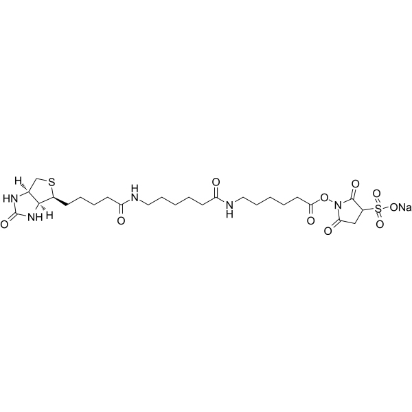 Sulfo-NHS-LC-LC-Biotin Chemical Structure