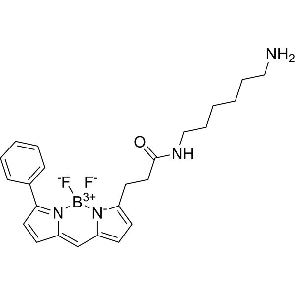 BDP R6G amine Chemical Structure