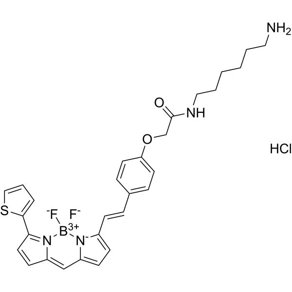 BDP 630/650 amine Chemical Structure