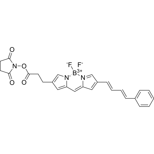 BDP 581/591 NHS ester Chemical Structure