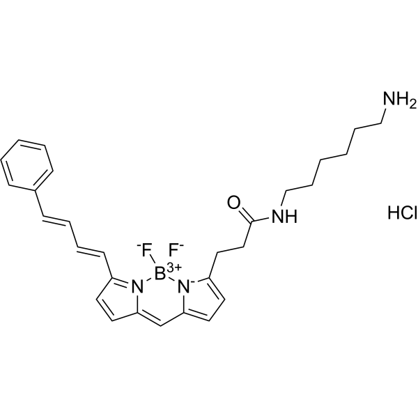 BDP 581/591 amine hydrochloride