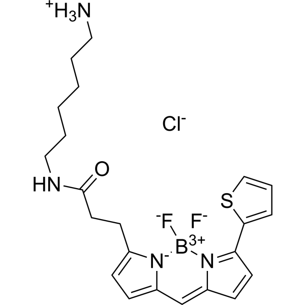 BDP 558/568 amine Chemical Structure