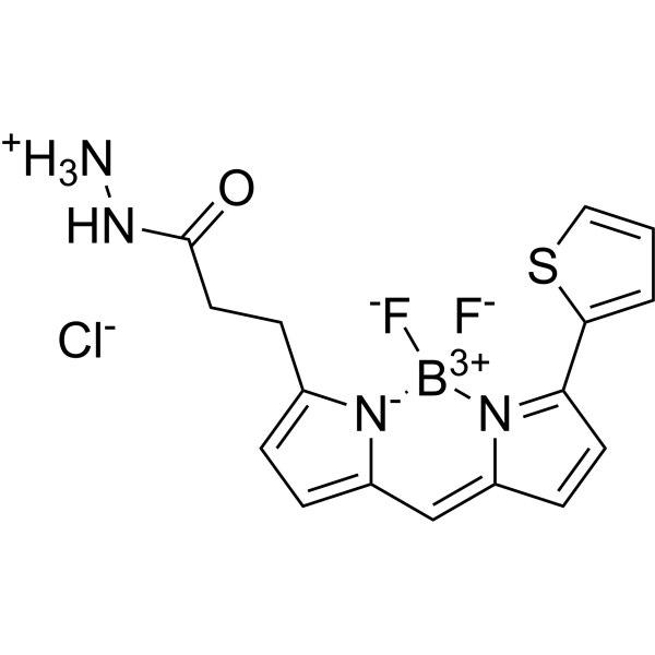 BDP 558/568 hydrazide Chemical Structure