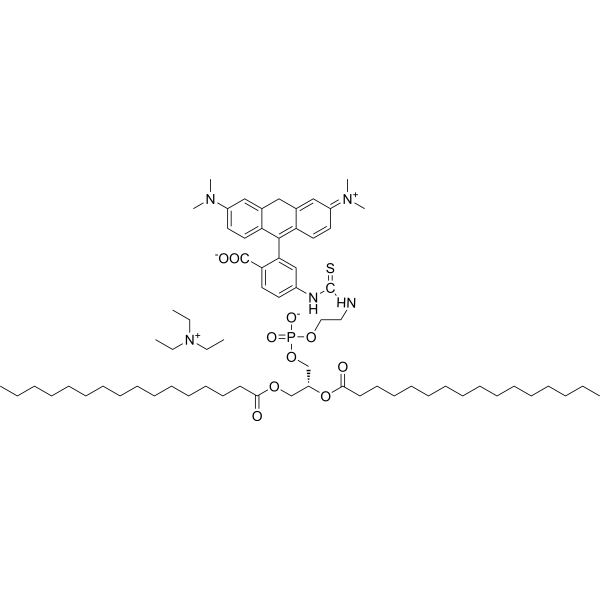 TRITC-DHPE Chemical Structure
