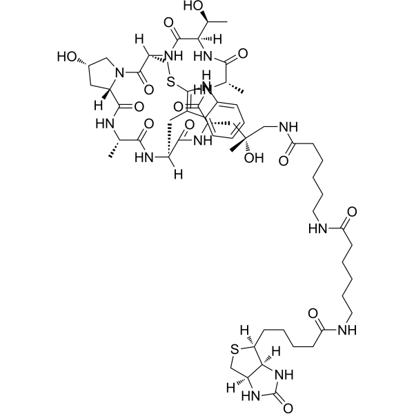 Phalloidin-Biotin