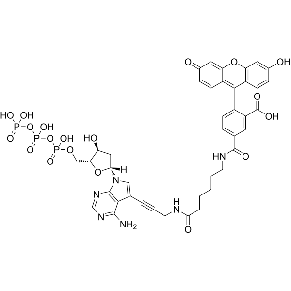 <em>Fluorescein-12</em>-<em>dATP</em>
