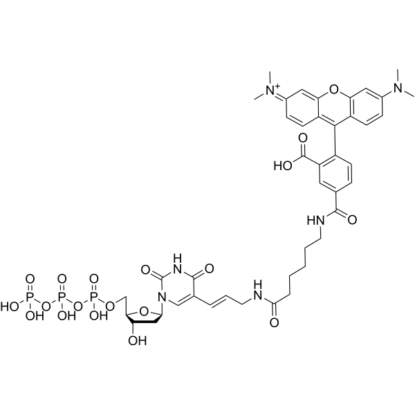 Tetramethylrhodamine-dUTP Chemical Structure