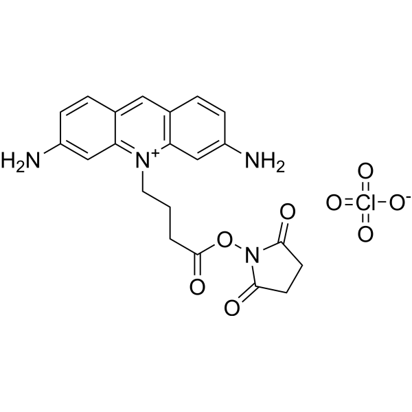 ATTO 465 NHS ester Chemical Structure