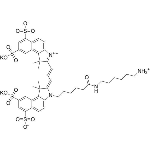 <em>Sulfo</em>-Cy3.5 amine