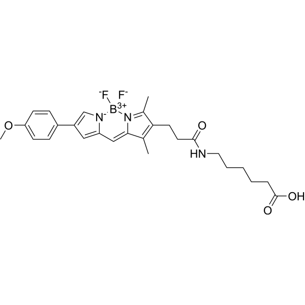 BODIPY TMR acid Chemical Structure