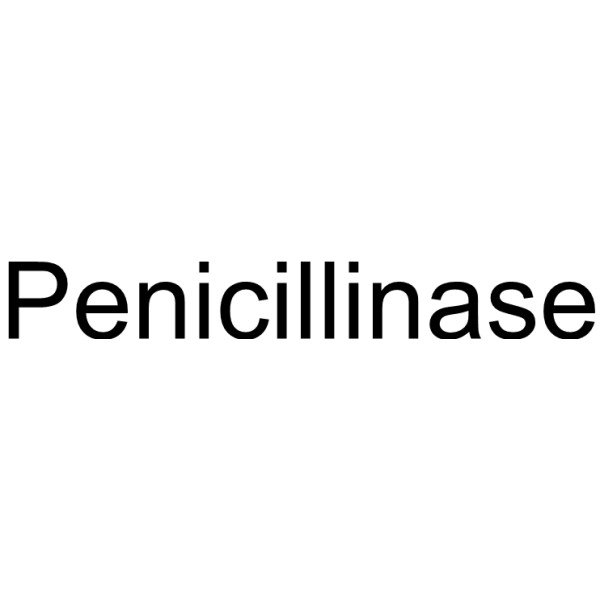 Penicillinase (from calf stomach) Chemical Structure
