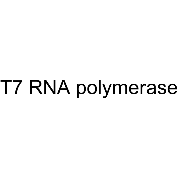 T7 RNA polymerase Chemical Structure