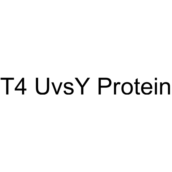 T<em>4</em> UvsY Protein