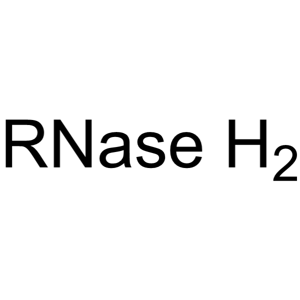 RNase H2 Chemical Structure