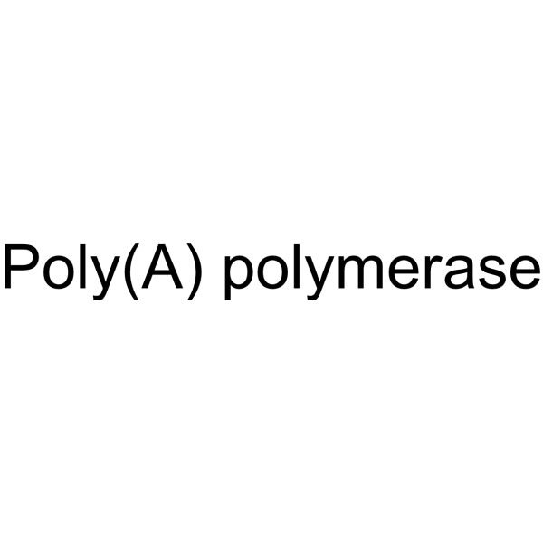 Poly(A) polymerase Chemical Structure