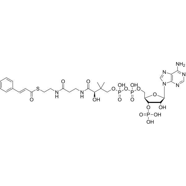 (E)-Cinnamoyl-coA Chemical Structure