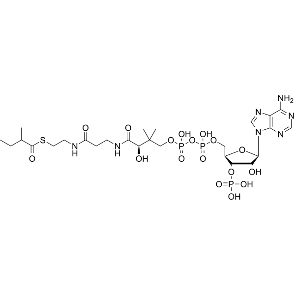 2-Methylbutyryl-CoA Chemical Structure
