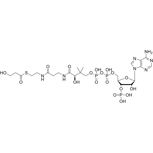 3-Hydroxypropionyl-CoA Chemical Structure