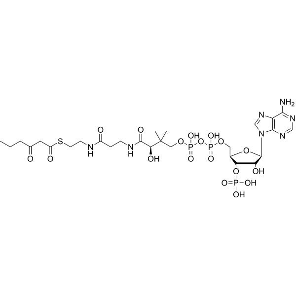 3-Ketohexanoyl-CoA Chemical Structure