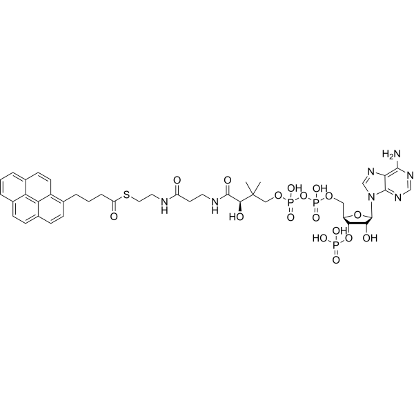 1-Pyrenebutanoyl-CoA Chemical Structure