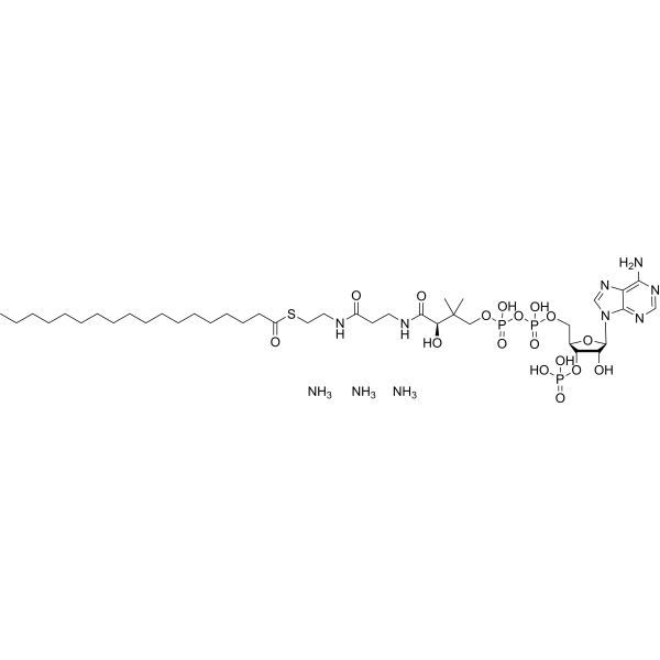 18:0 Coenzyme A triammonium Chemical Structure